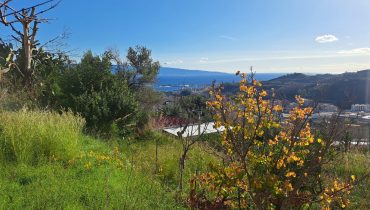 Tremonti panoramica indipendente due vani più servizi più terreno e cantina