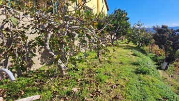 Tremonti panoramica indipendente due vani più servizi più terreno e cantina