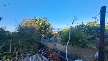 Pressi Provinciale 4 vani più giardino