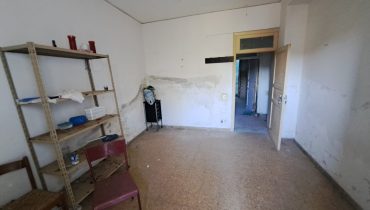 Pressi Provinciale 4 vani più giardino