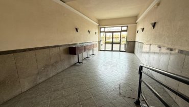 Viale della Libetà trivani più servizi