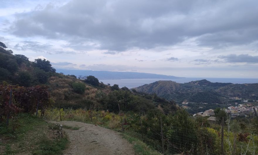 Larderia Superiore terreno #VO17896