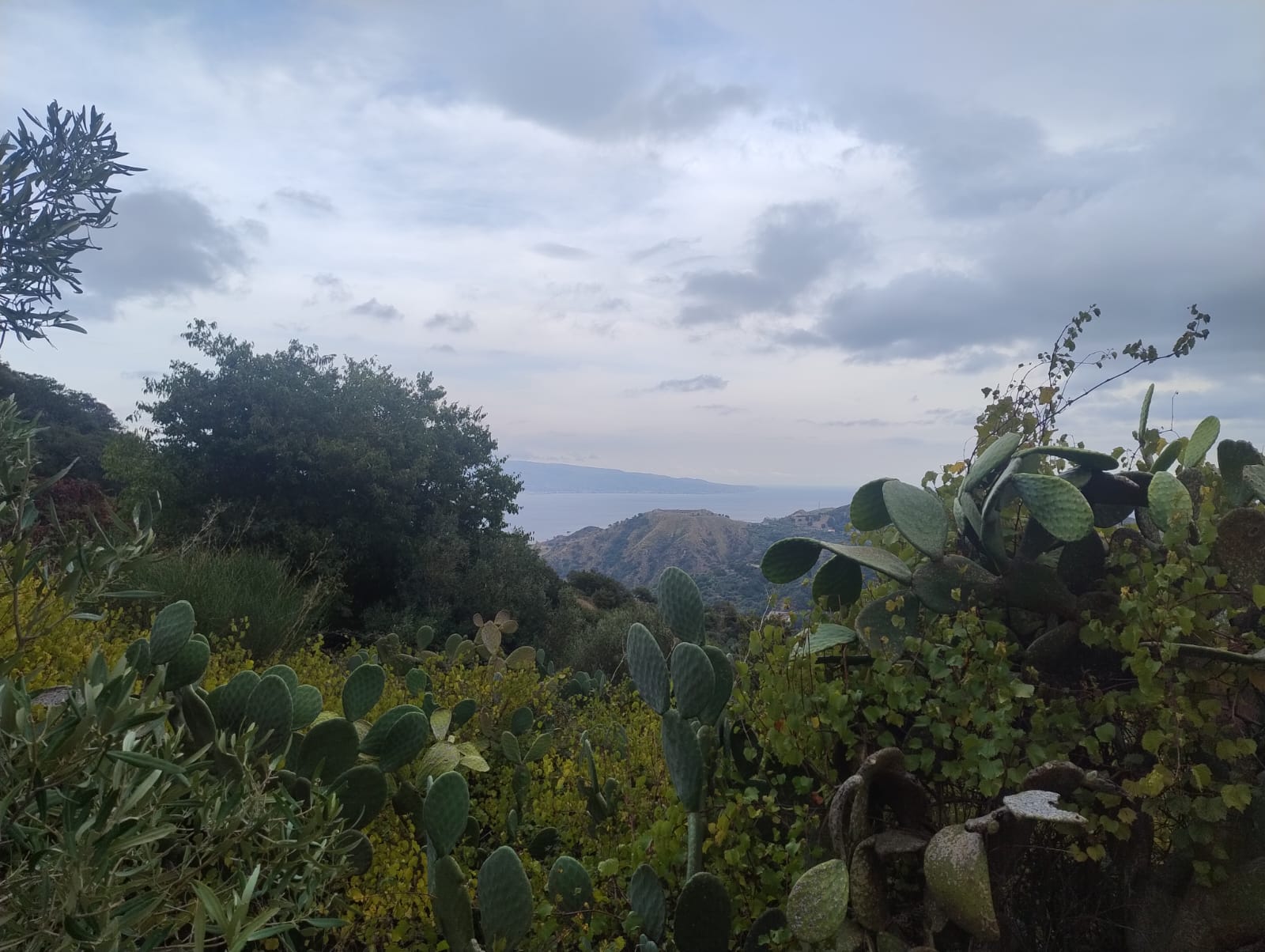 Larderia Superiore terreno