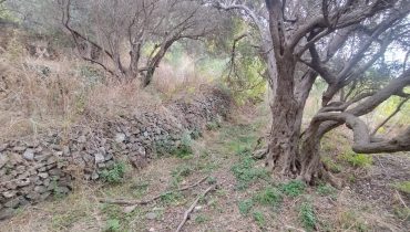 Larderia Superiore terreno