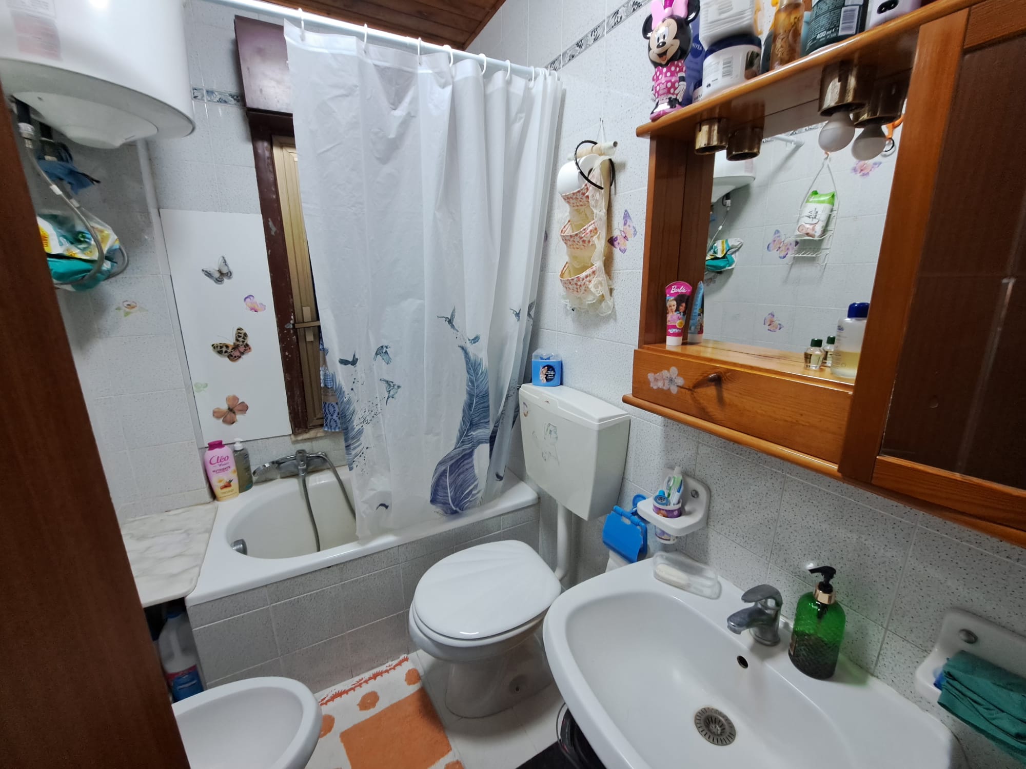 Via del Santo bivani più servizi