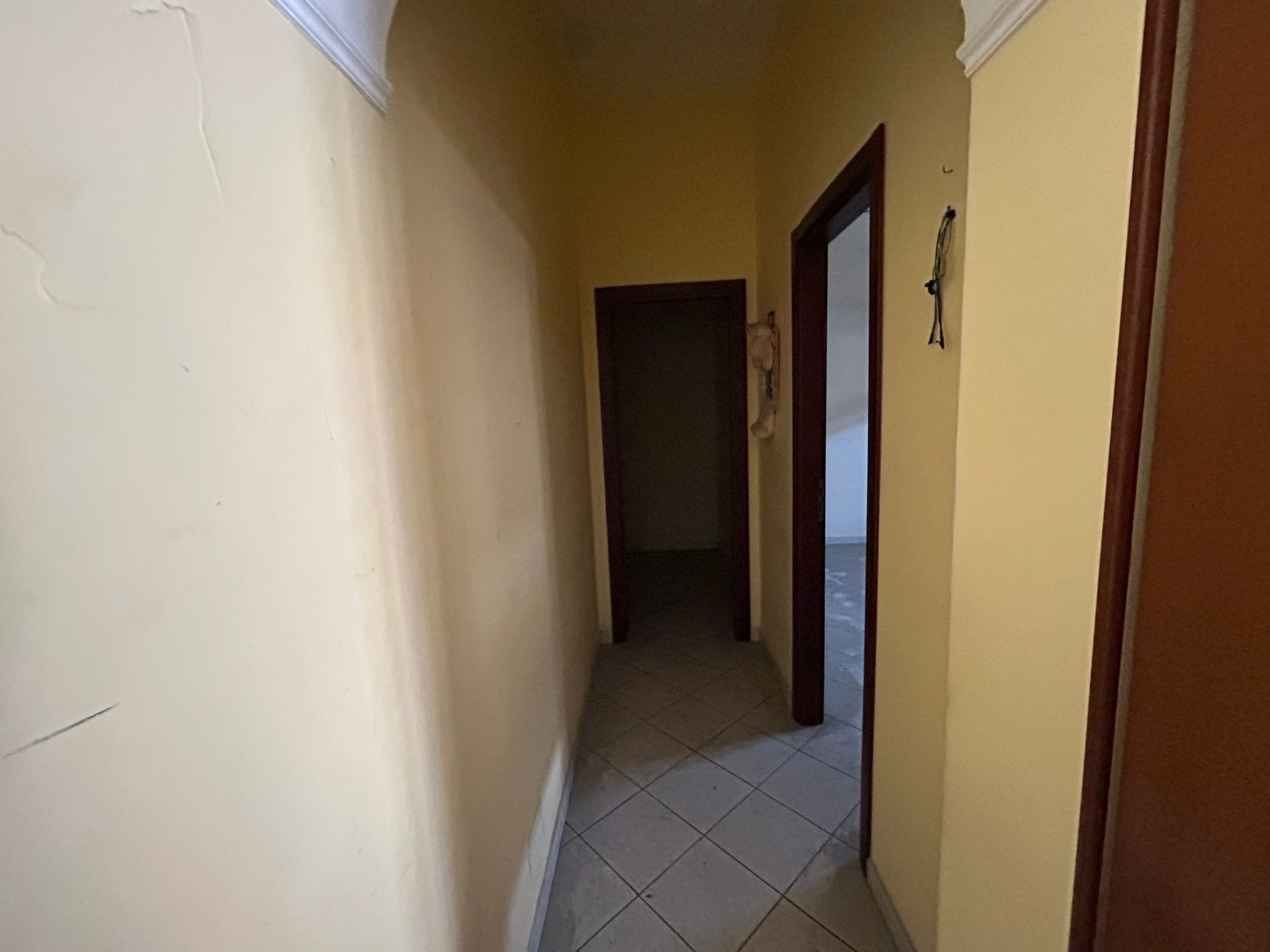 Viale Giostra trivani più servizi