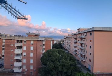 Viale Giostra bivani più servizi #VO18122