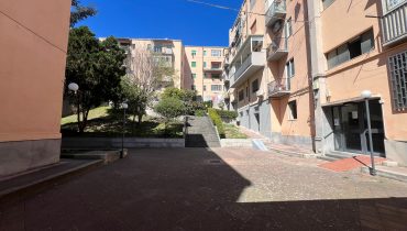 Viale della Libertà bivani più veranda