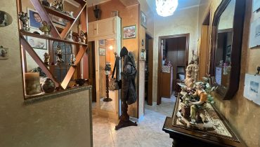 Contesse 4 vani più servizi