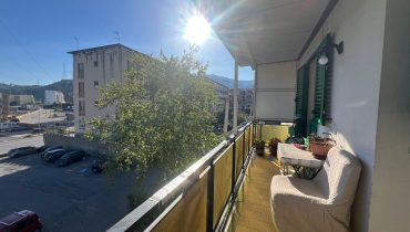 Contesse 4 vani più servizi