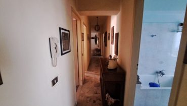 Pressi Policlinico 3 vani più servizi