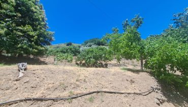 Bordonaro terreno con fabbricato