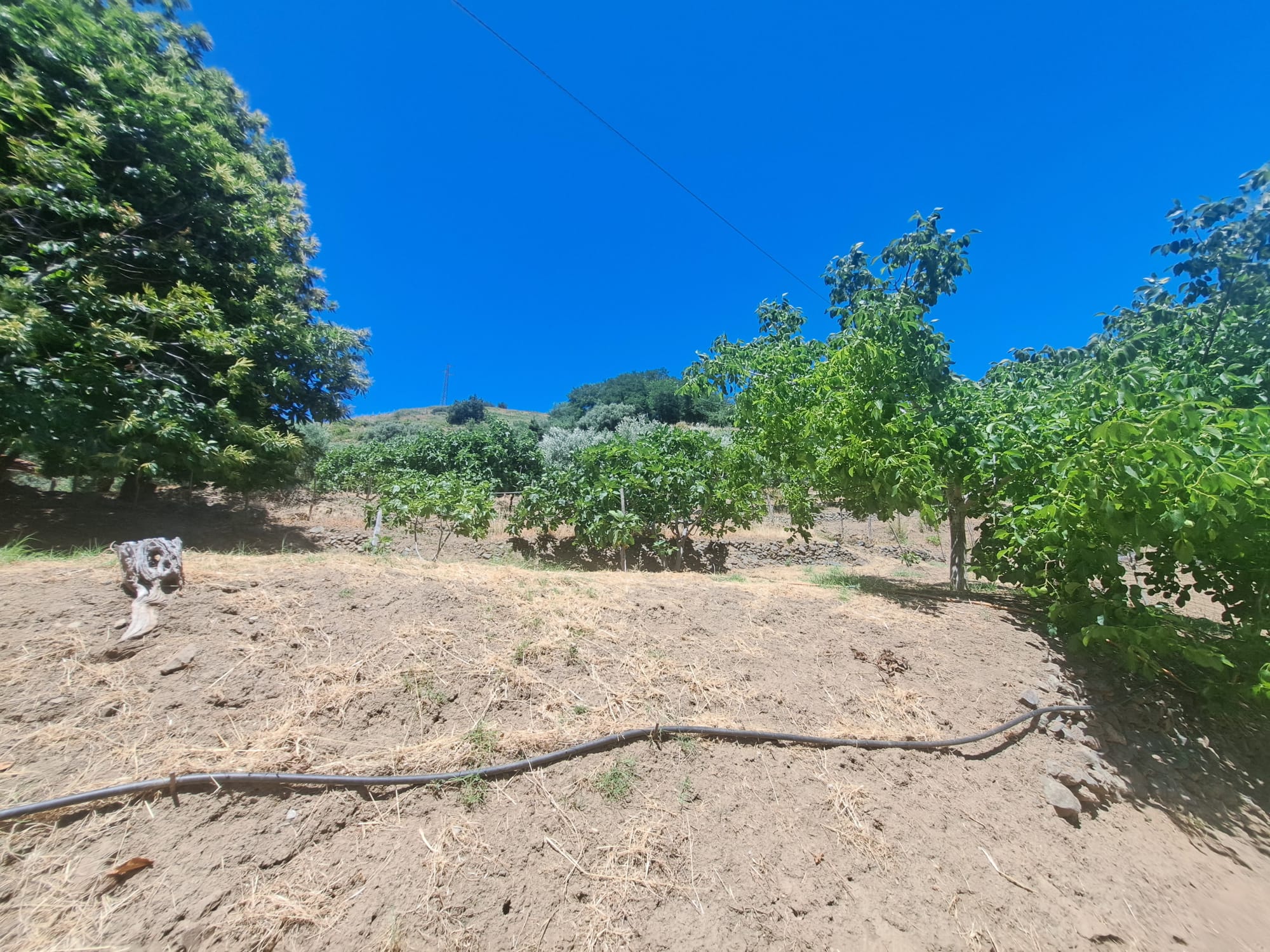 Bordonaro terreno con fabbricato
