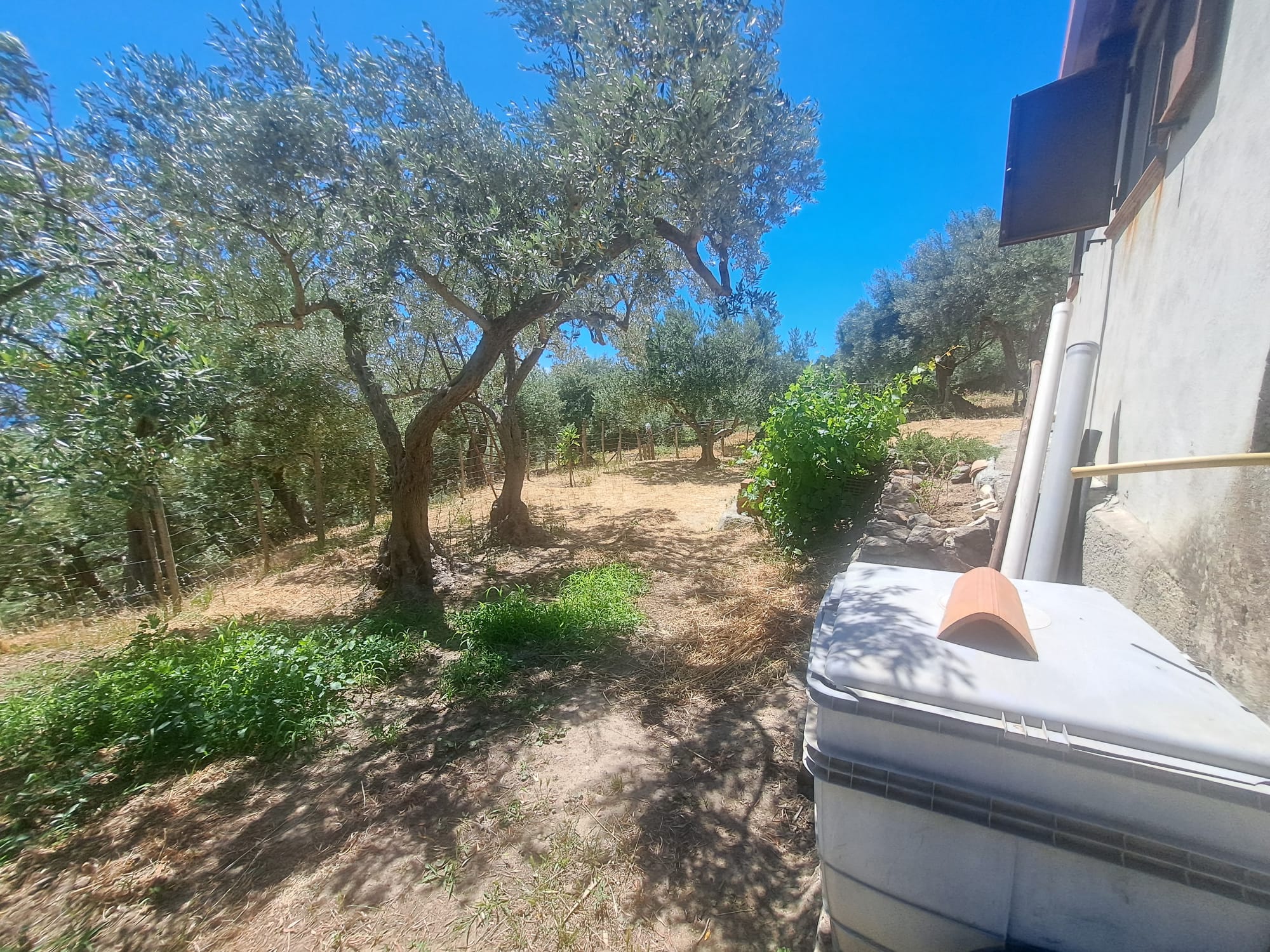 Bordonaro terreno con fabbricato