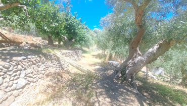 Bordonaro terreno con fabbricato