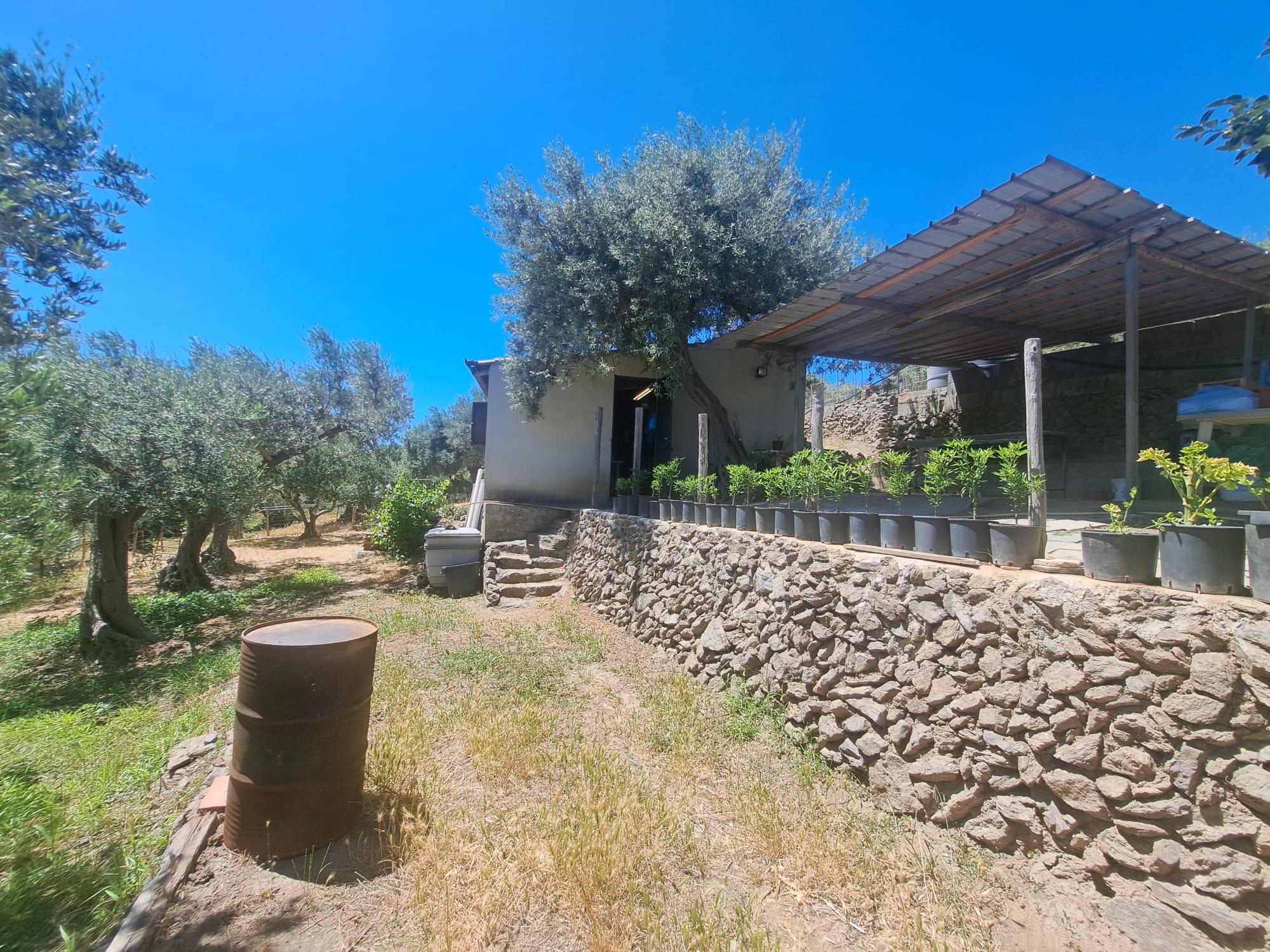 Bordonaro terreno con fabbricato