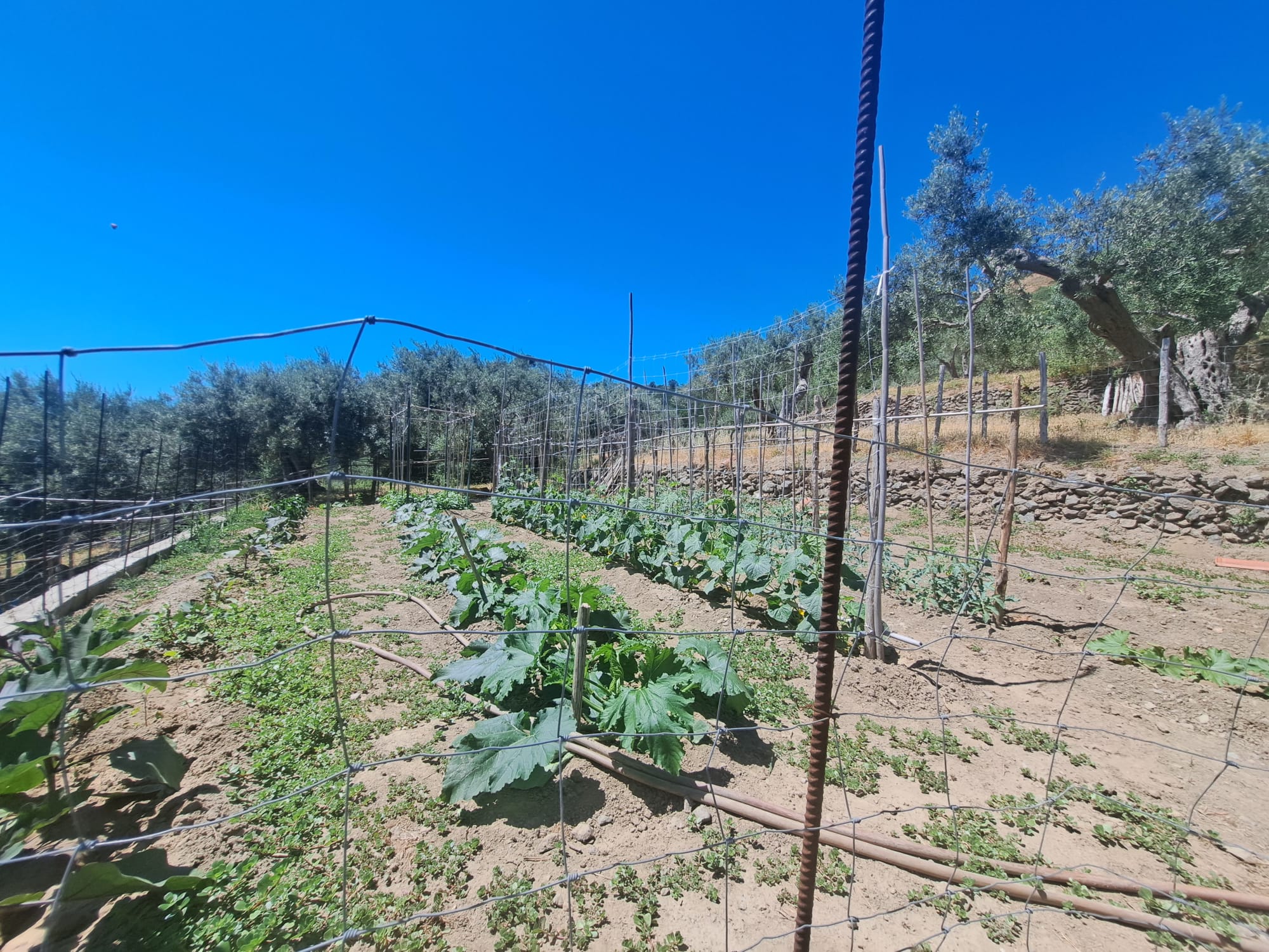 Bordonaro terreno con fabbricato