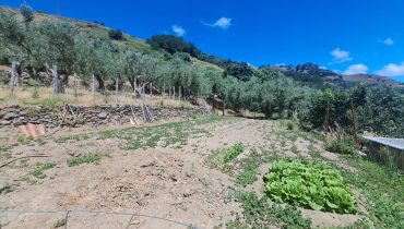 Bordonaro terreno con fabbricato