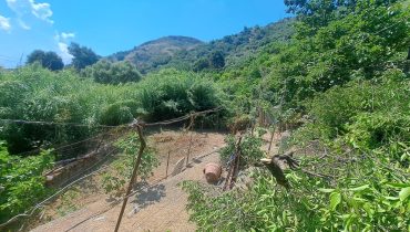 Briga Superiore terreno con fabbricato