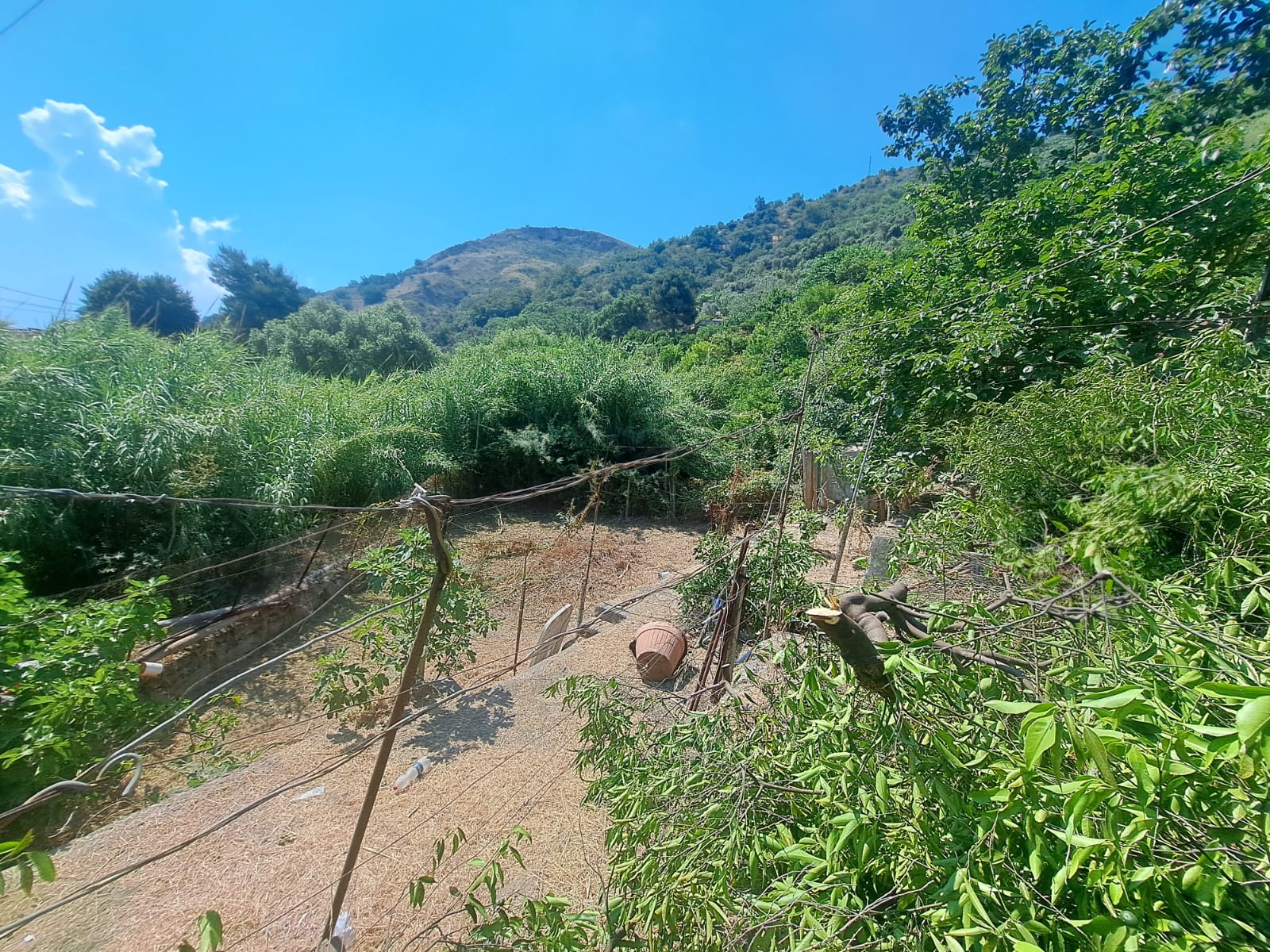 Briga Superiore terreno con fabbricato