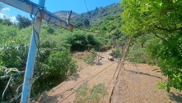 Briga Superiore terreno con fabbricato