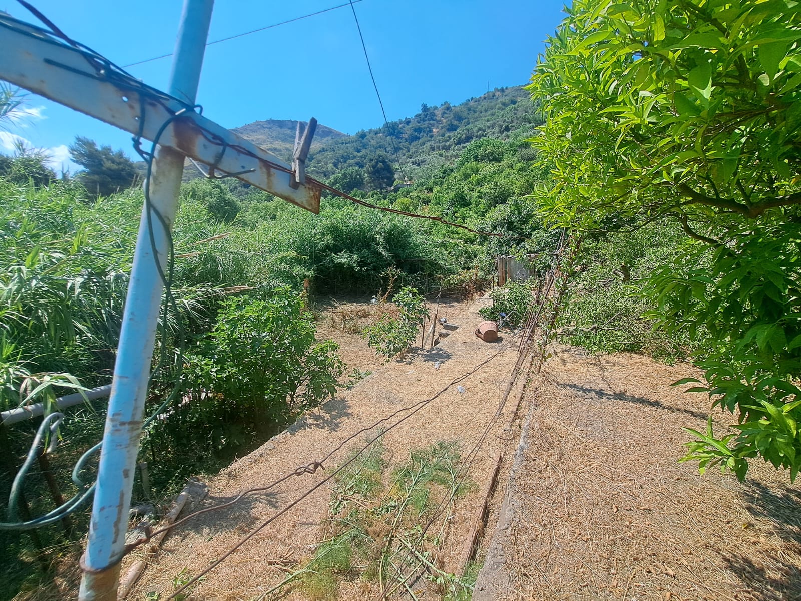 Briga Superiore terreno con fabbricato