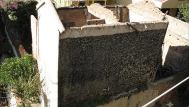 Via Noviziato Casazza pressi viale Italia rudere con giardino